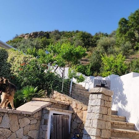Casa L'Ulivariu Affittacamere San Teodoro  Exteriér fotografie