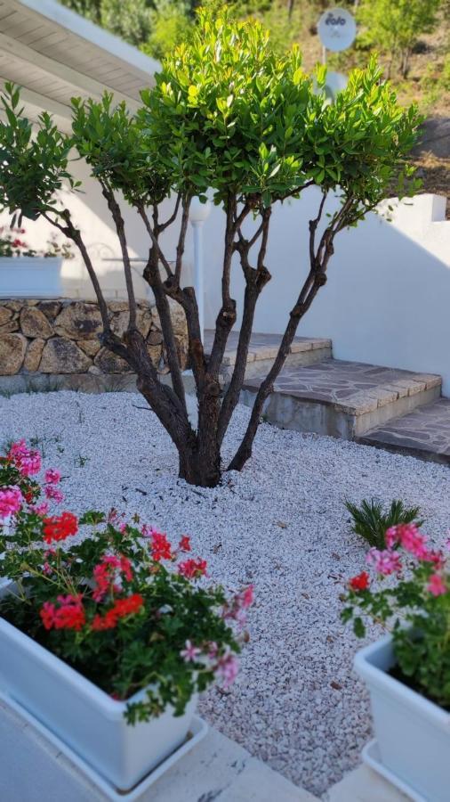 Casa L'Ulivariu Affittacamere San Teodoro  Exteriér fotografie