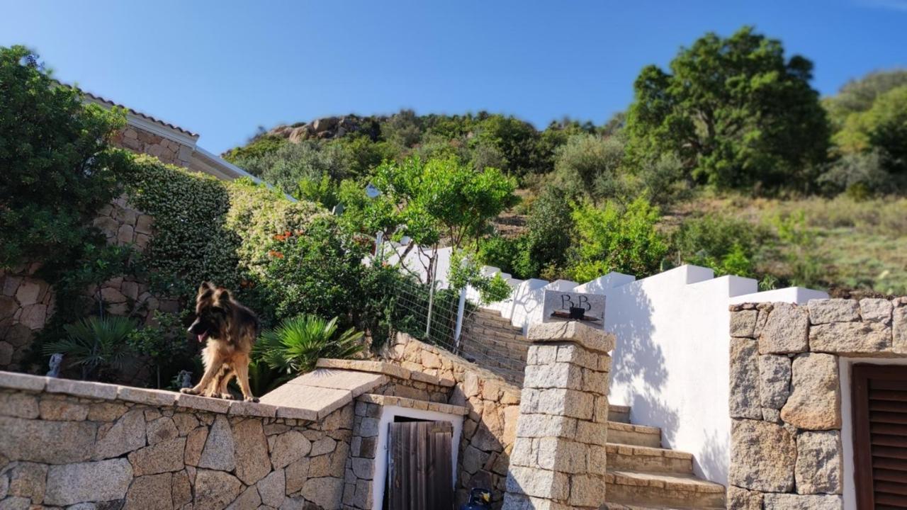 Casa L'Ulivariu Affittacamere San Teodoro  Exteriér fotografie