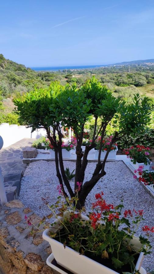 Casa L'Ulivariu Affittacamere San Teodoro  Exteriér fotografie
