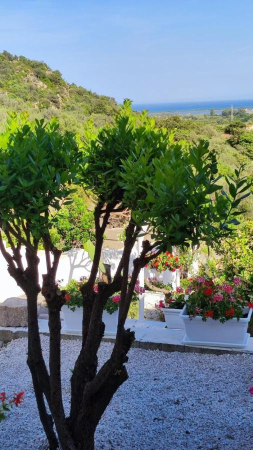 Casa L'Ulivariu Affittacamere San Teodoro  Exteriér fotografie