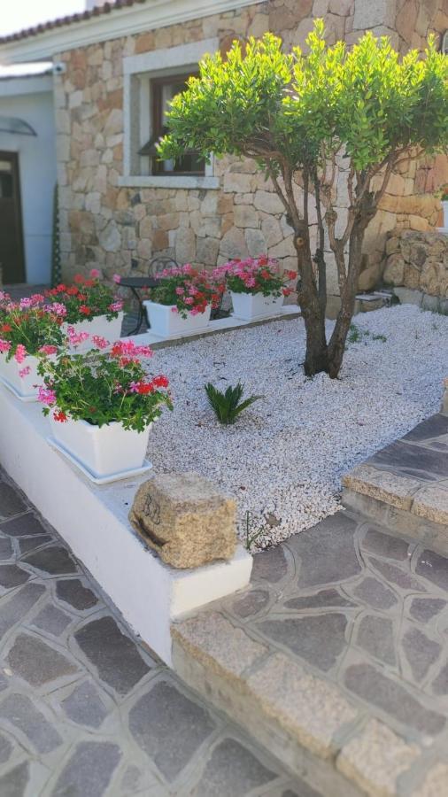 Casa L'Ulivariu Affittacamere San Teodoro  Exteriér fotografie