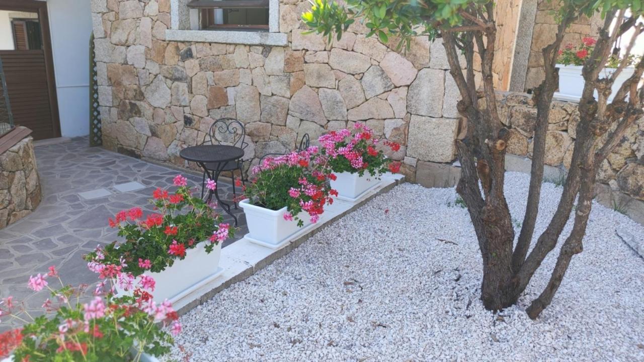Casa L'Ulivariu Affittacamere San Teodoro  Exteriér fotografie