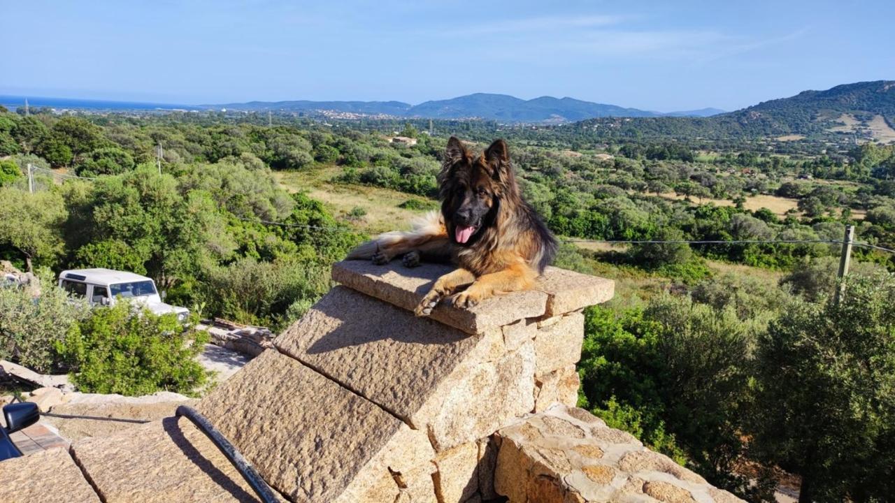 Casa L'Ulivariu Affittacamere San Teodoro  Exteriér fotografie