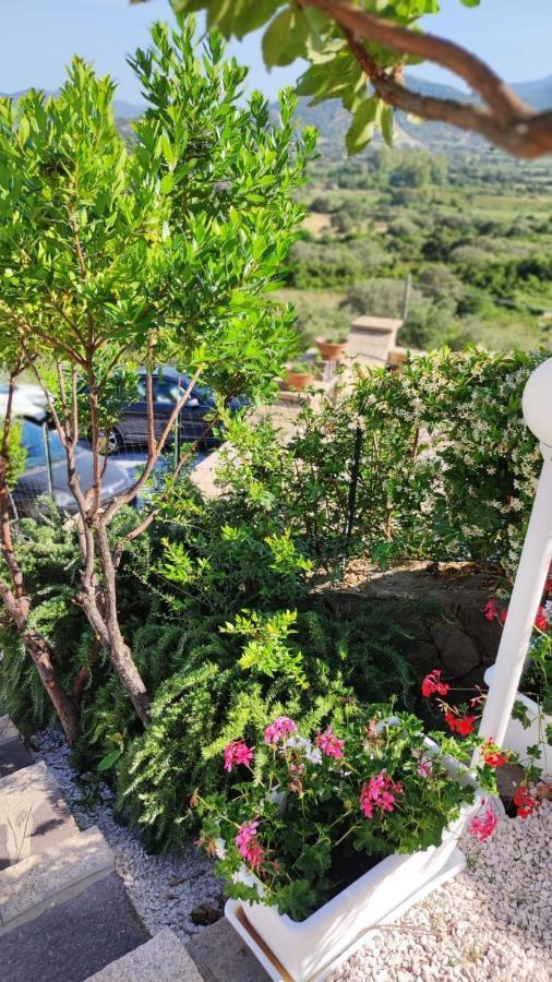 Casa L'Ulivariu Affittacamere San Teodoro  Exteriér fotografie