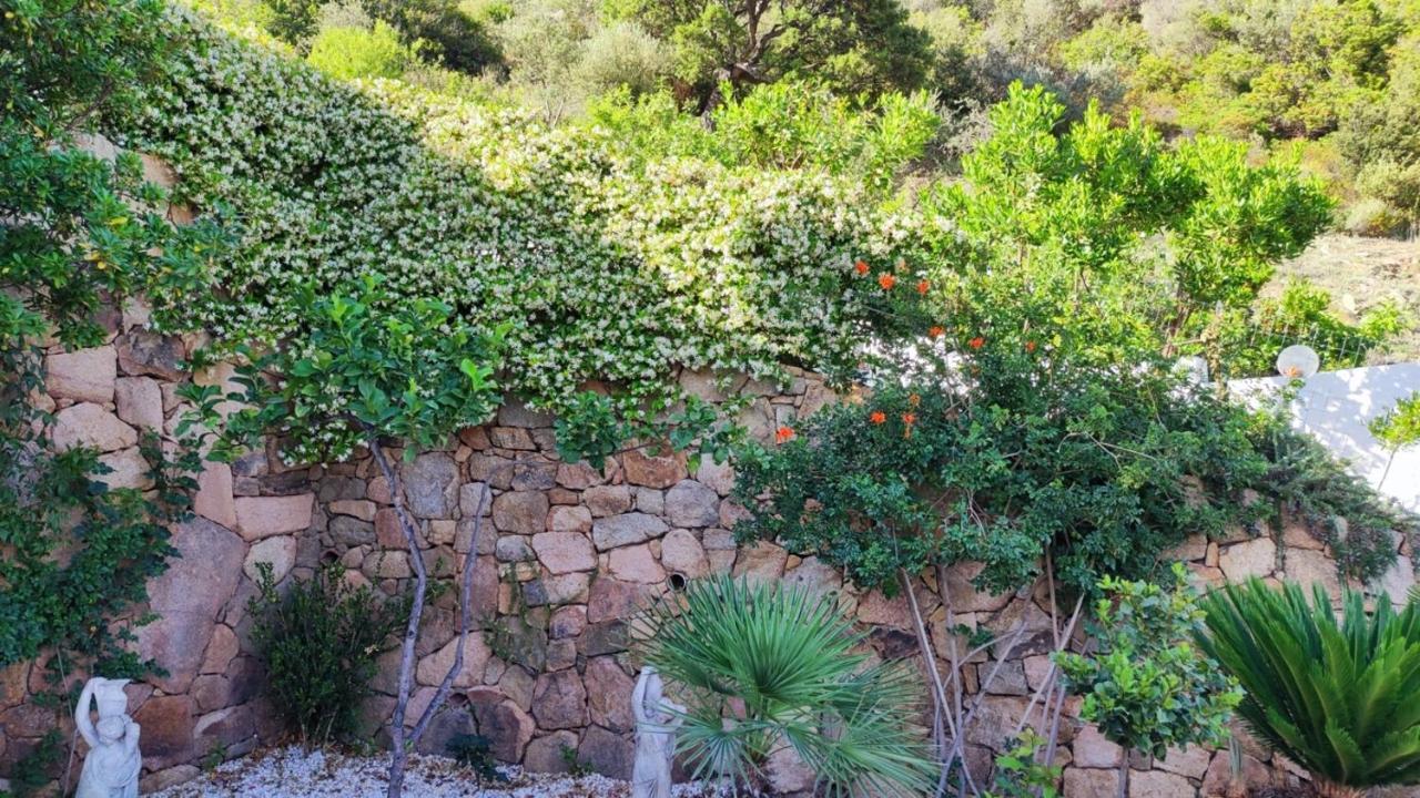 Casa L'Ulivariu Affittacamere San Teodoro  Exteriér fotografie