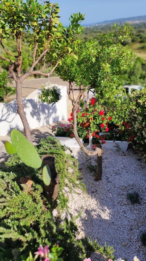 Casa L'Ulivariu Affittacamere San Teodoro  Exteriér fotografie