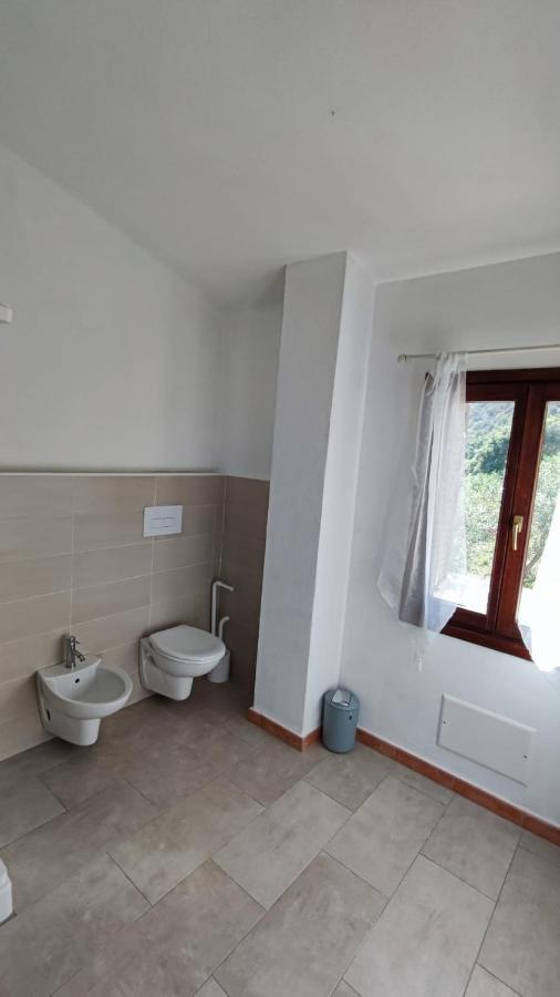 Casa L'Ulivariu Affittacamere San Teodoro  Exteriér fotografie