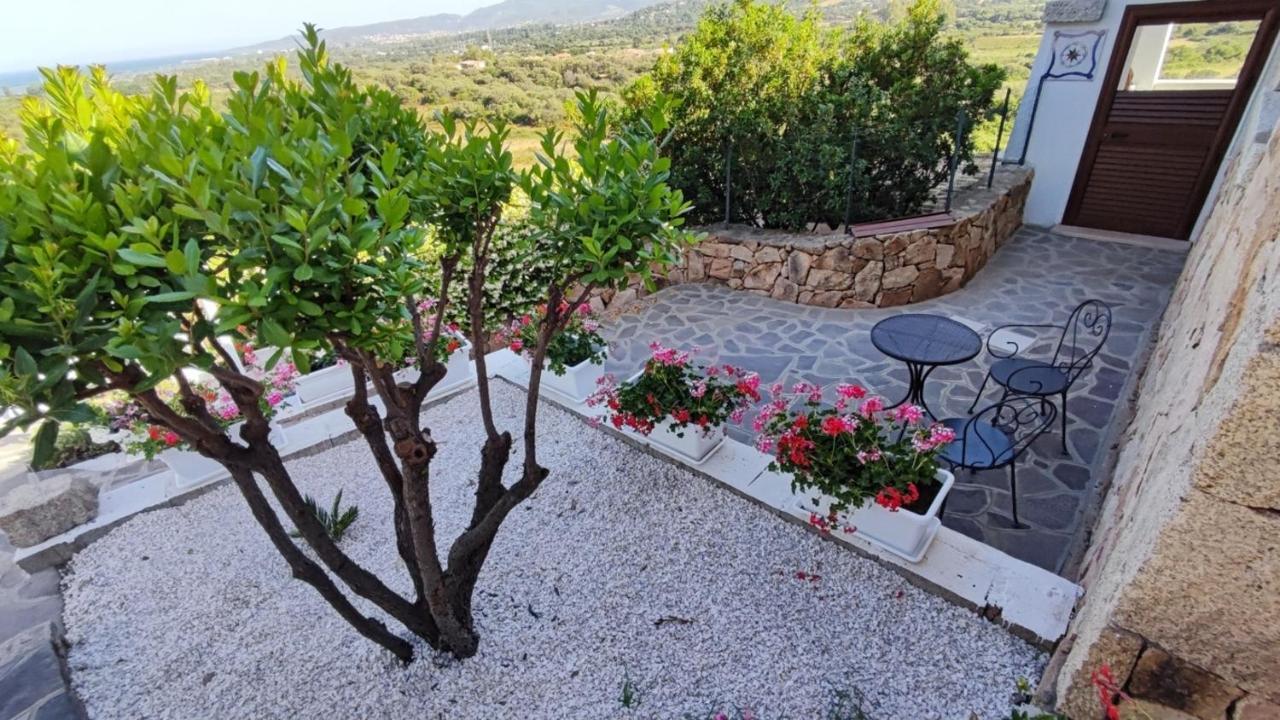 Casa L'Ulivariu Affittacamere San Teodoro  Exteriér fotografie