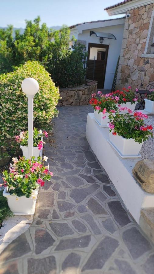 Casa L'Ulivariu Affittacamere San Teodoro  Exteriér fotografie