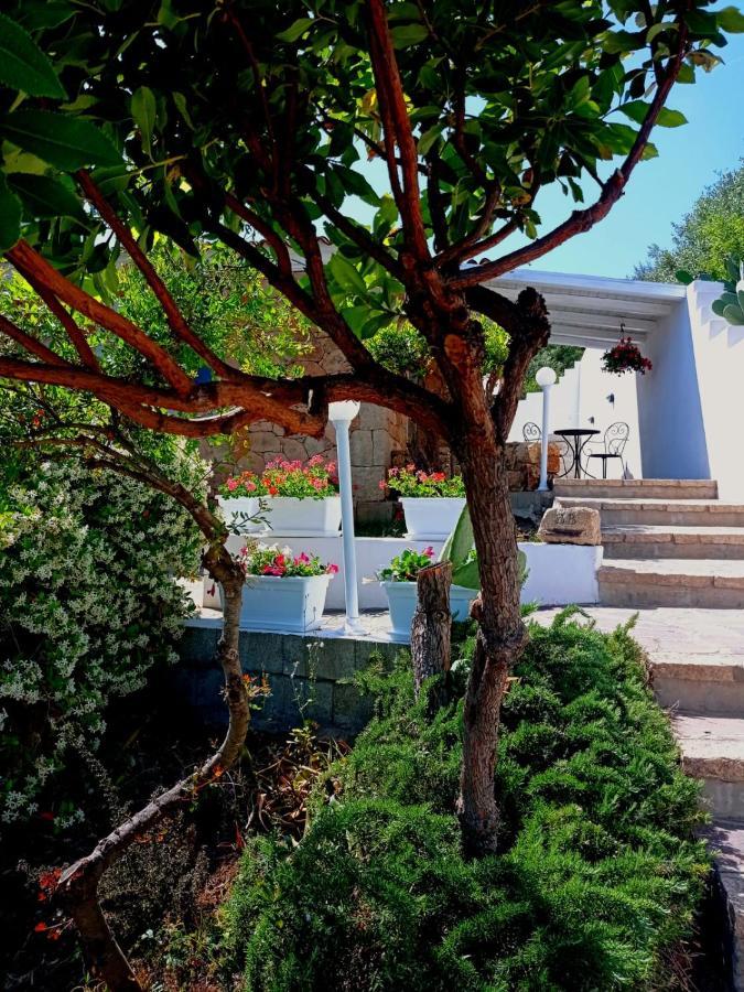 Casa L'Ulivariu Affittacamere San Teodoro  Exteriér fotografie