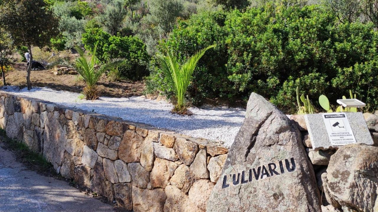 Casa L'Ulivariu Affittacamere San Teodoro  Exteriér fotografie