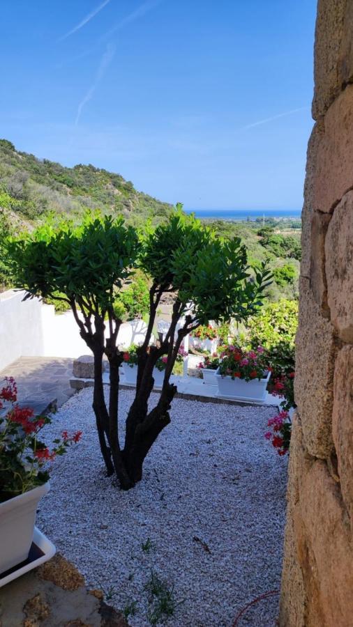Casa L'Ulivariu Affittacamere San Teodoro  Exteriér fotografie