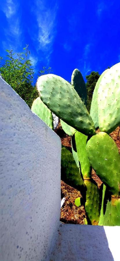Casa L'Ulivariu Affittacamere San Teodoro  Exteriér fotografie