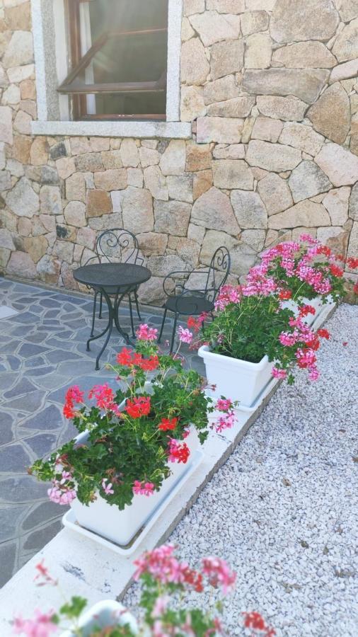 Casa L'Ulivariu Affittacamere San Teodoro  Exteriér fotografie