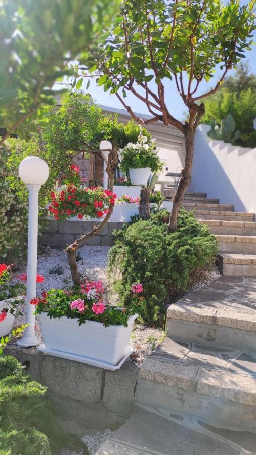 Casa L'Ulivariu Affittacamere San Teodoro  Exteriér fotografie